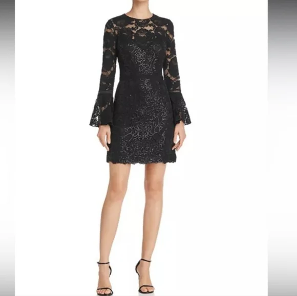 knee length dresses for ladies Tadashi Shoji Women's Sable Embroidered Tulle Dress